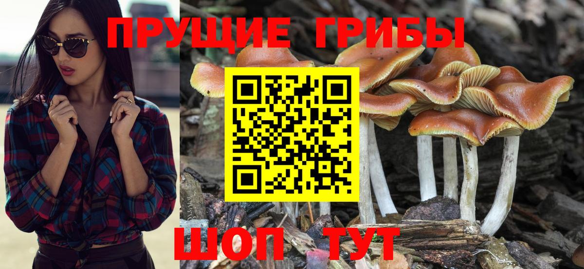 Галлюциногенные грибы мухоморы  Вход с VPN  Уварово 